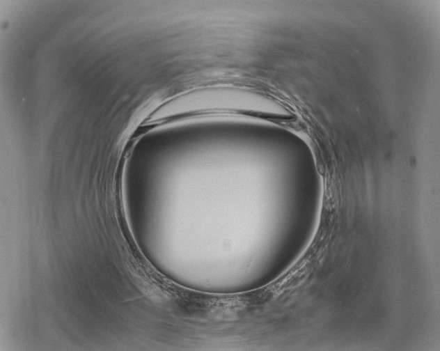 X0000078240099200611171508