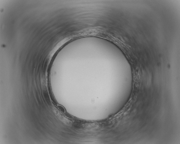 X0000078240100200611171508