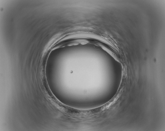 X0000078240101200611171508