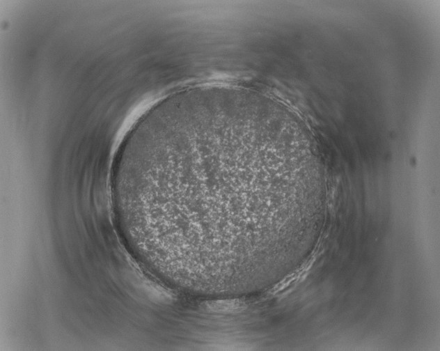 X0000078240102200611171508