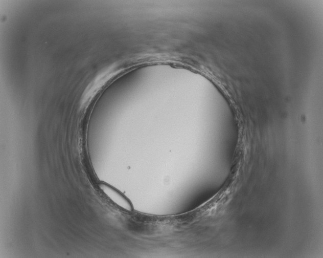 X0000078240103200611171508