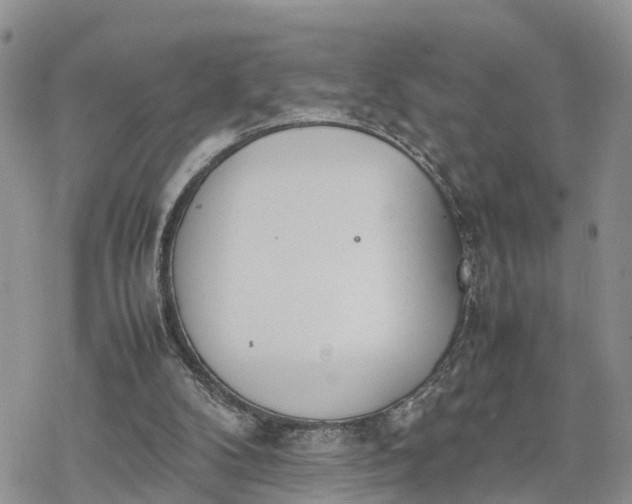 X0000078240104200611171508