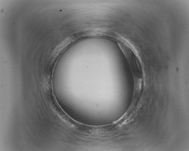 X0000078240105200611171508