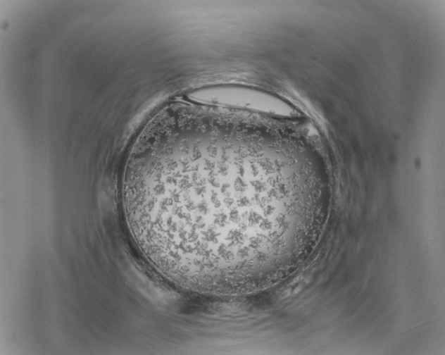 X0000078240107200611171508