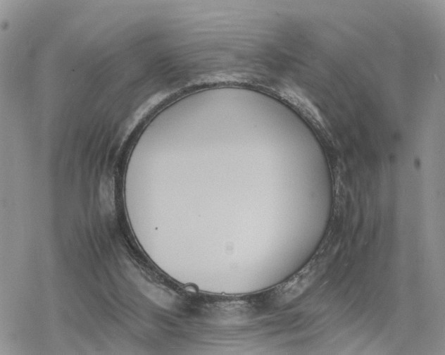 X0000078240108200611171508