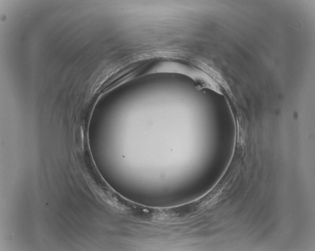 X0000078240109200611171508