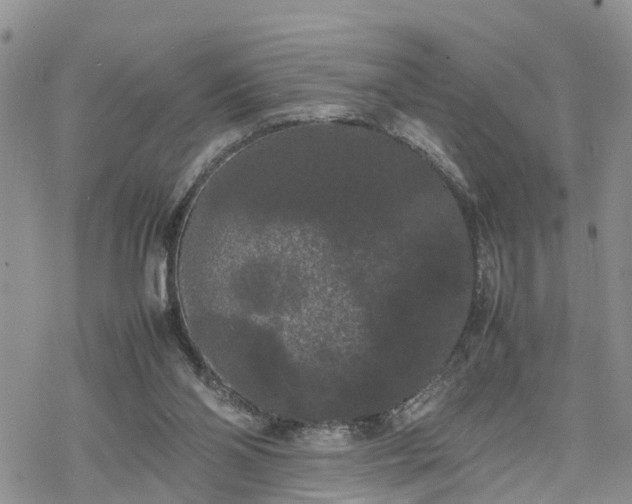 X0000078240110200611171508