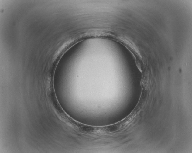 X0000078240111200611171508