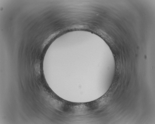 X0000078240112200611171508