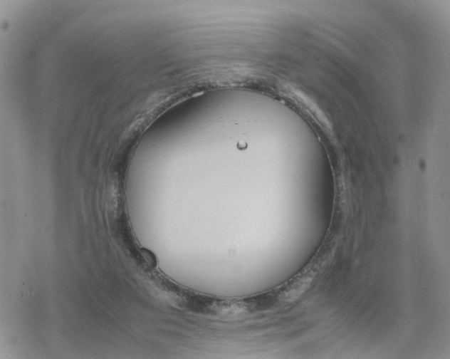 X0000078240113200611171508