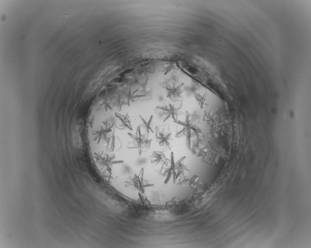 X0000078240114200611171508