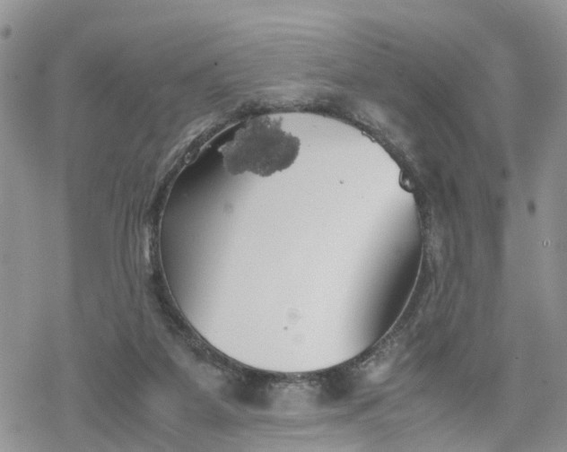 X0000078240115200611171508