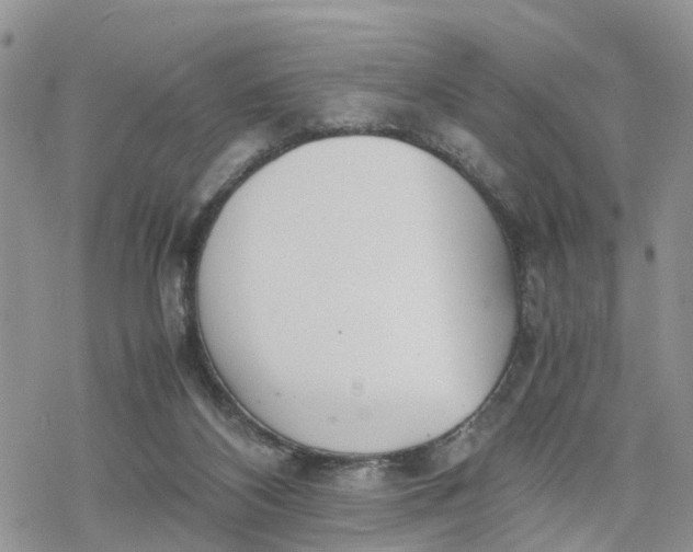 X0000078240116200611171508