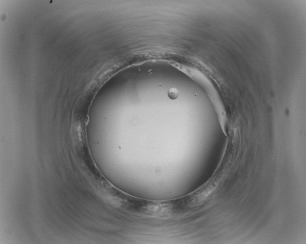 X0000078240117200611171508