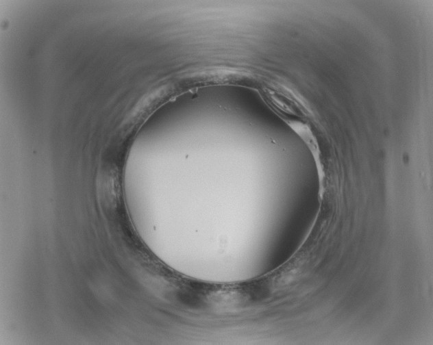 X0000078240119200611171508