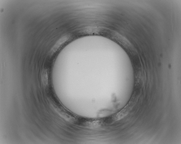 X0000078240120200611171508