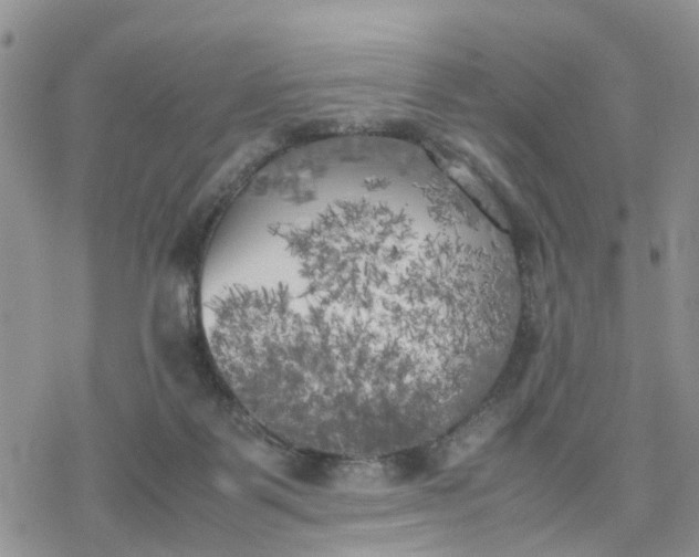 X0000078240123200611171508