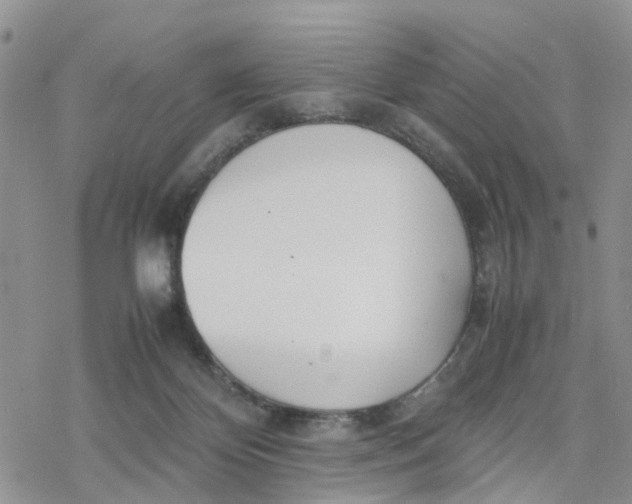 X0000078240124200611171508