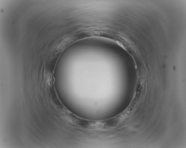 X0000078240125200611171508