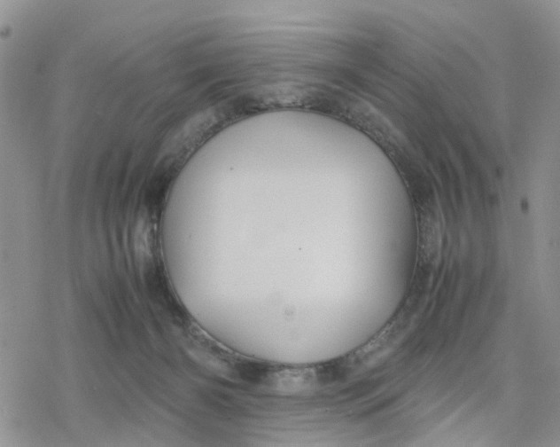 X0000078240126200611171508