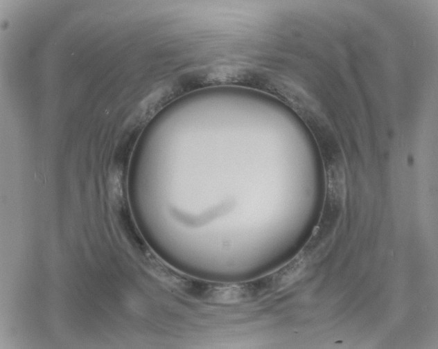 X0000078240127200611171508