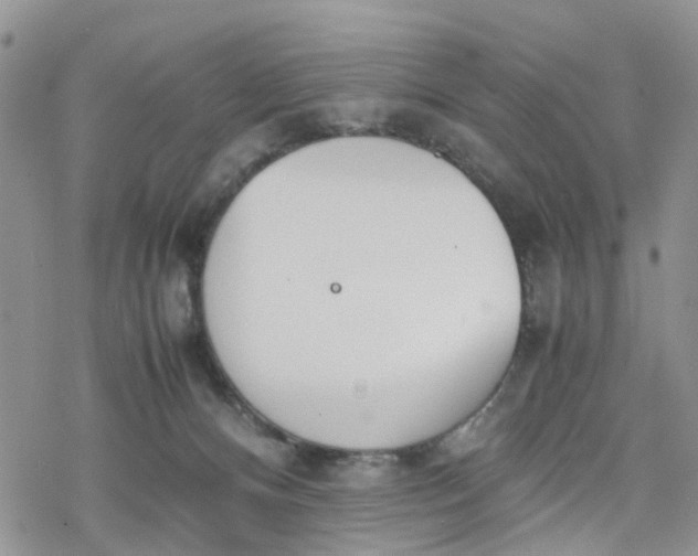 X0000078240128200611171508