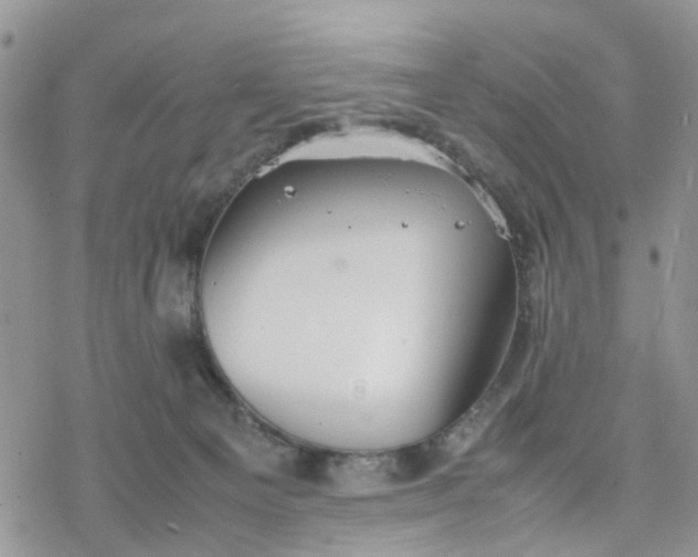 X0000078240129200611171508