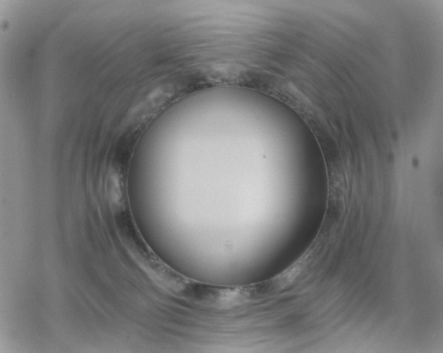 X0000078240130200611171508