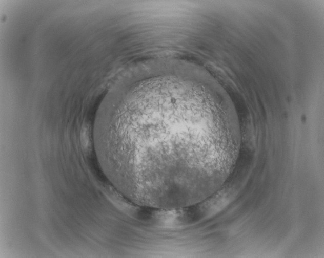 X0000078240131200611171508