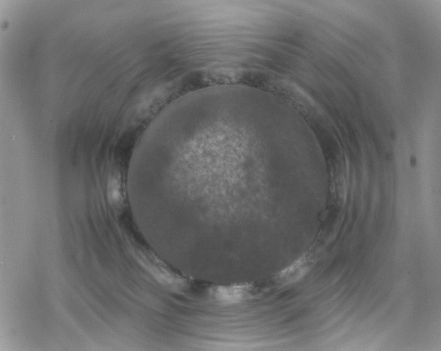 X0000078240134200611171508