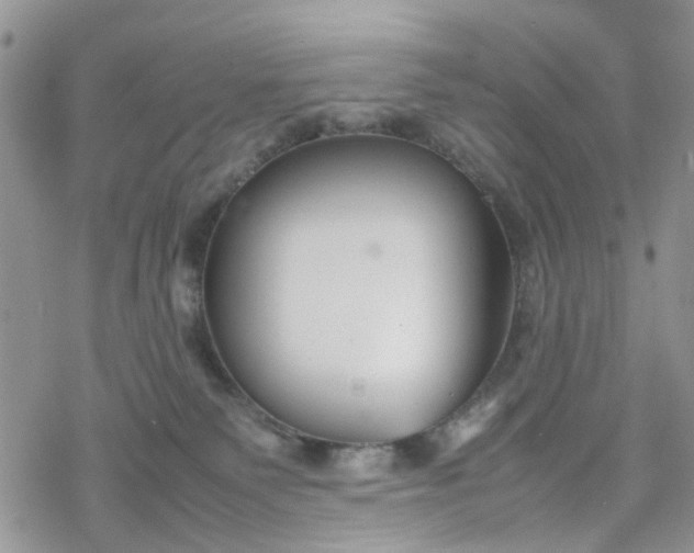 X0000078240135200611171508