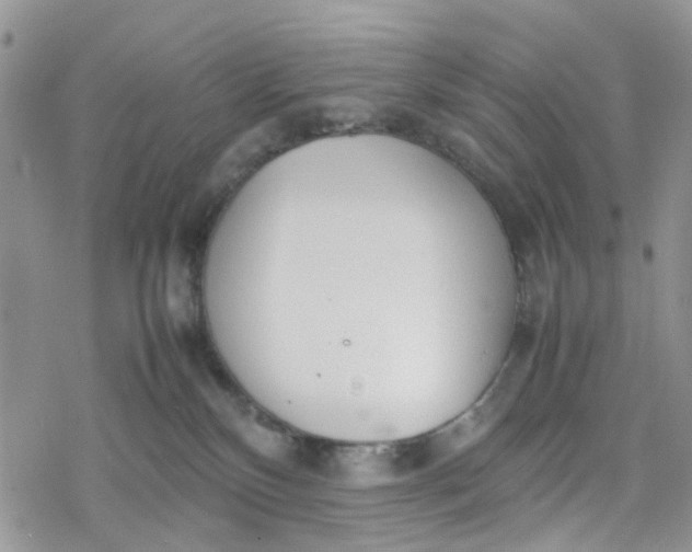 X0000078240136200611171508