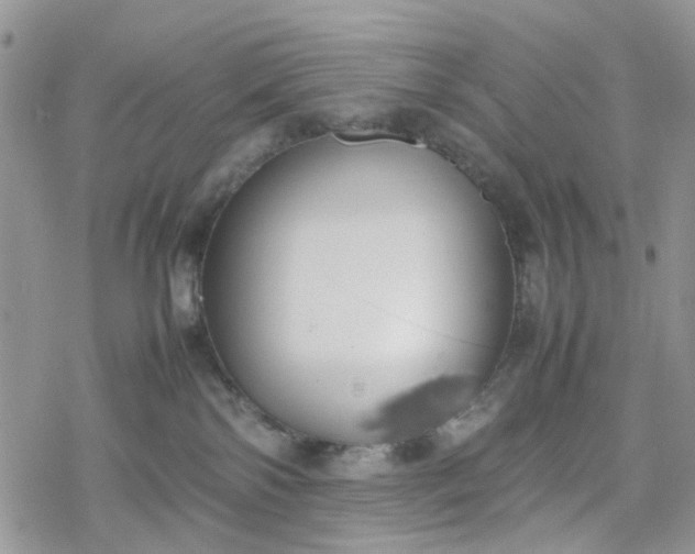 X0000078240138200611171508