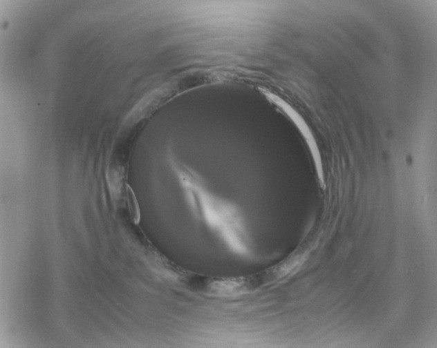 X0000078240139200611171508