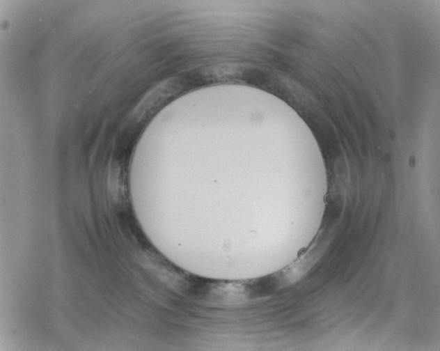 X0000078240140200611171508