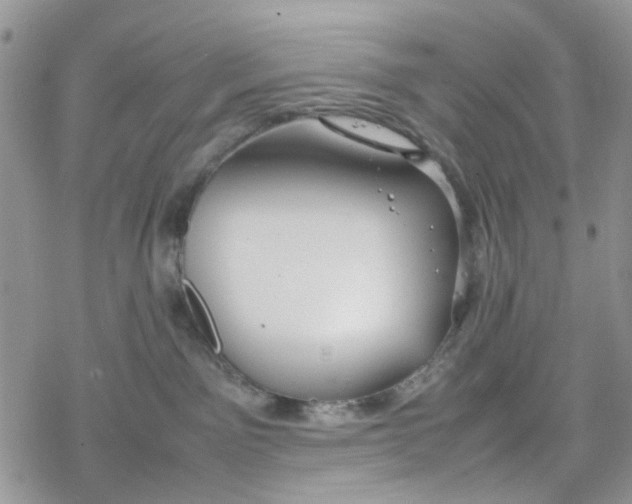 X0000078240141200611171508