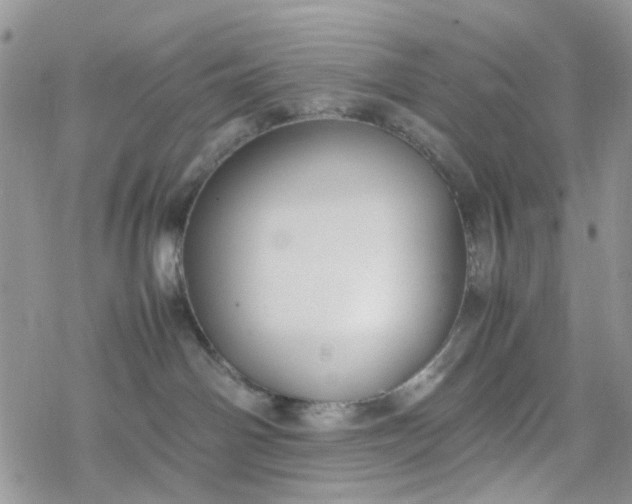 X0000078240142200611171508