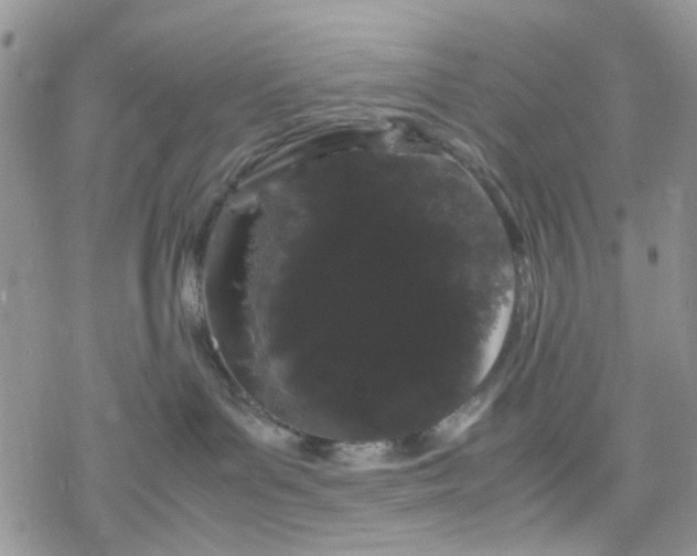 X0000078240143200611171508