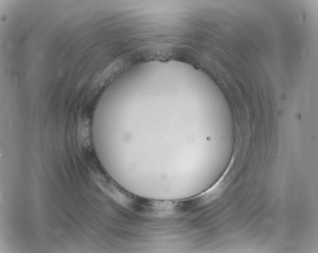 X0000078240144200611171508