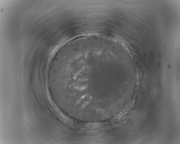 X0000078240145200611171507