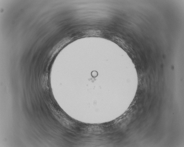 X0000078240146200611171507