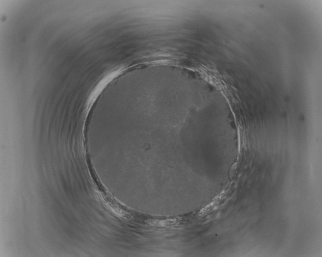 X0000078240147200611171507