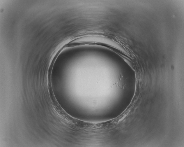 X0000078240148200611171507