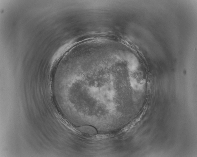 X0000078240149200611171507