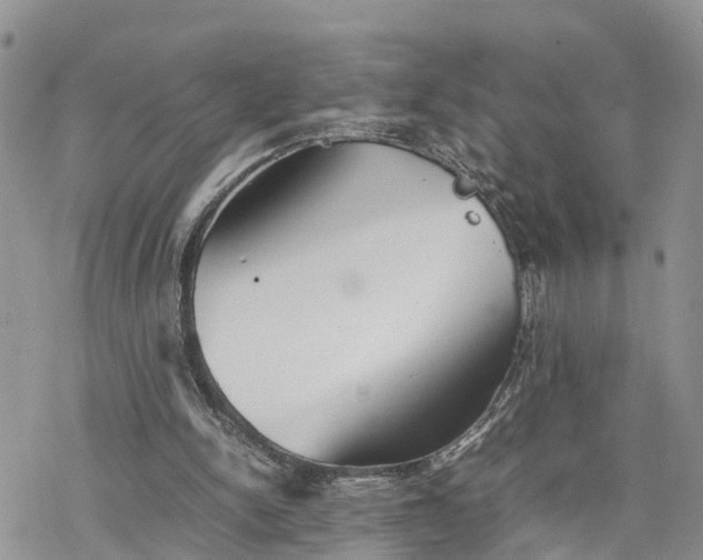 X0000078240150200611171507