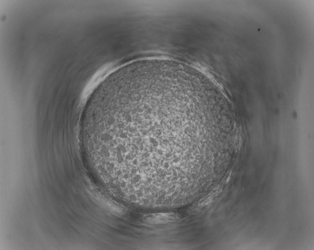 X0000078240151200611171507