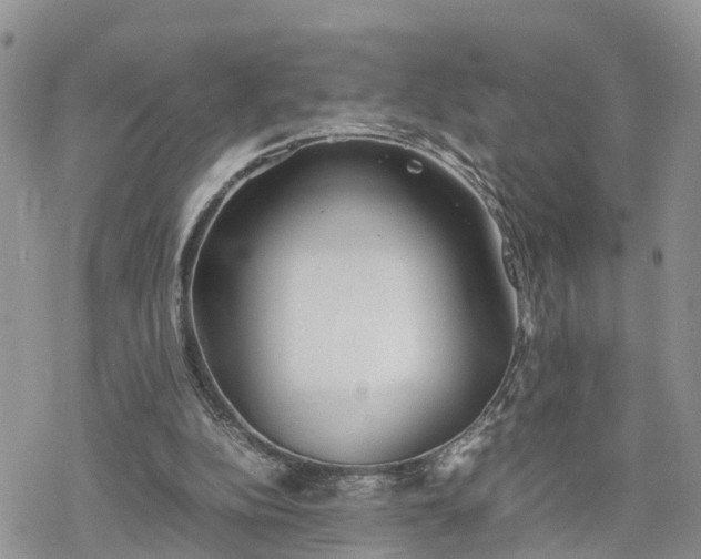 X0000078240152200611171507