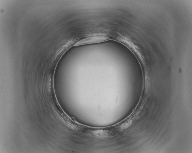 X0000078240153200611171507