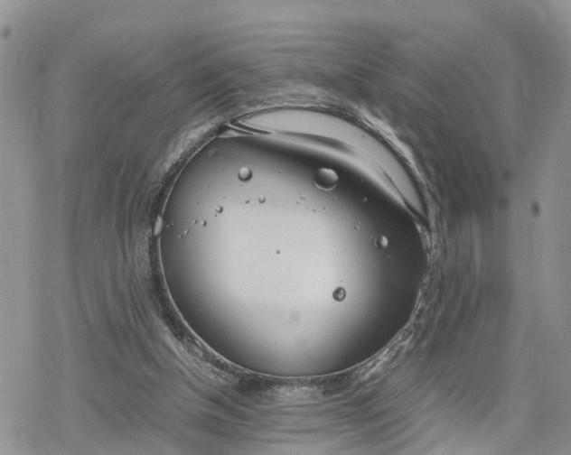 X0000078240154200611171507