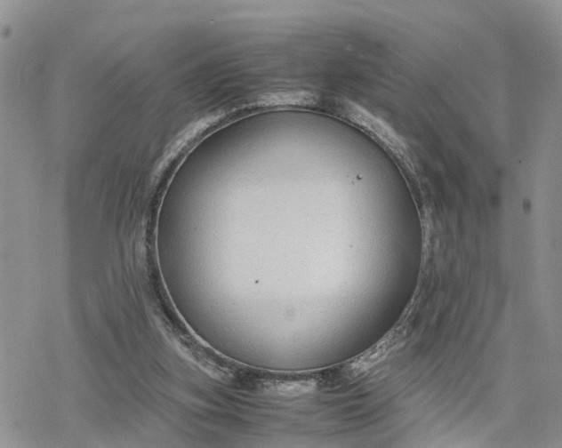 X0000078240155200611171507